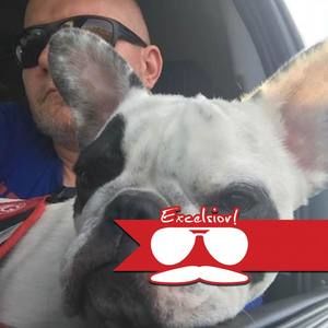 Meet your Posher, Patrick